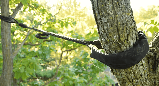 Haubanage d'arbre avec sangles